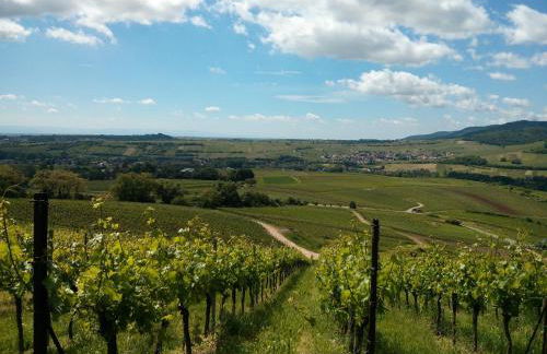 Ferienwohnungen Bella Vita - Foto 21