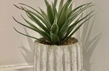 Alex Place's - Foto 14