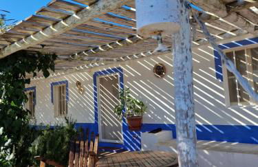 Monte das Aranhas - Foto 29