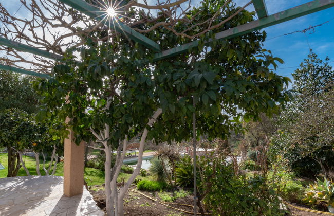 Campestra - Photo 15