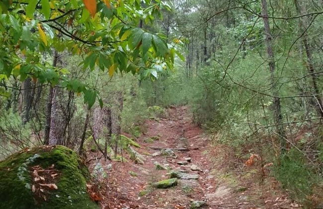 Belvilla by OYO Single Chalet en La Adrada - Foto 56