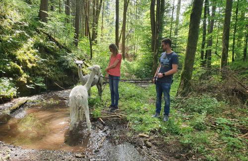 Lana Salta Alpakas - Gemütliche Ferienwohnungen auf dem Bauernhof - Photo 11