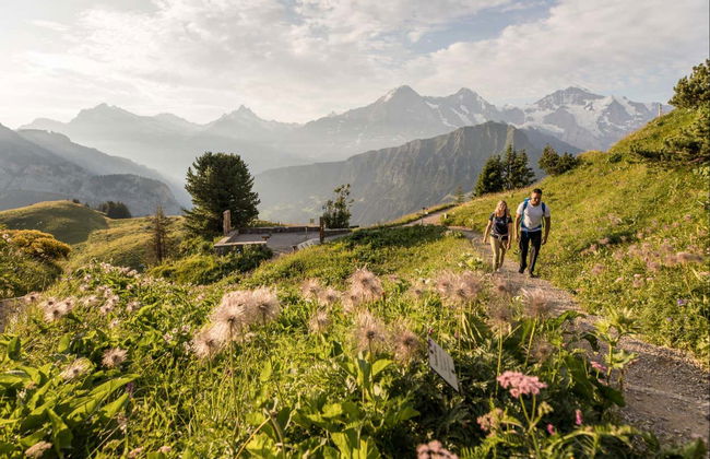 Train historique pour Schynige Platte - Photo 7