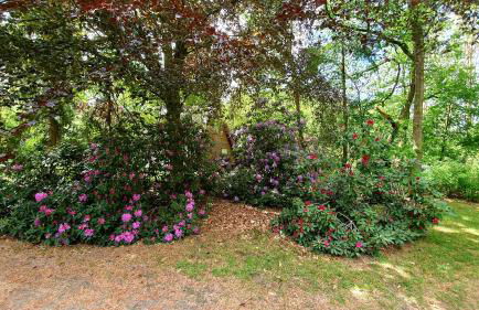 Kristians Hus - Foto 15