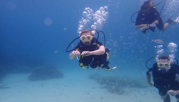 Bautismo de buceo en la Reserva Marina Cala Delta - Foto 3, Disfrutando del bautismo de buceo en Cala Delta