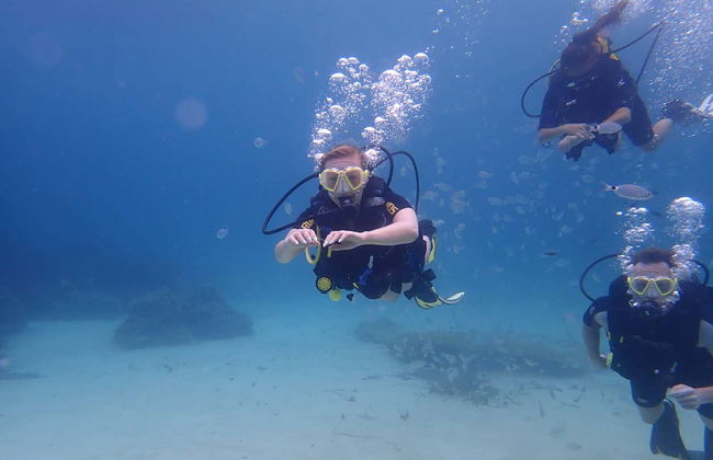 Bautismo de buceo en la Reserva Marina Cala Delta - Foto 3