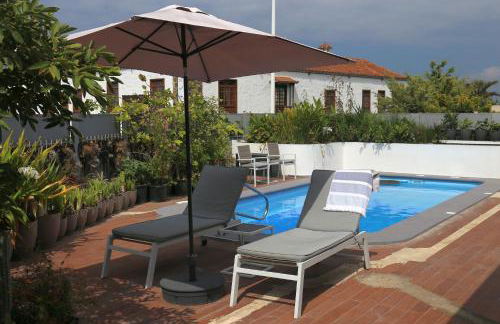 Jungle Paradise - Foto 1