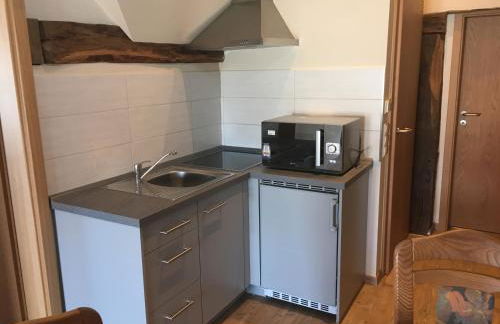 Gasthof Zum Ochsen - Foto 53