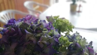 Ferienwohnung Nico - Foto 2