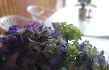 Ferienwohnung Nico - Foto 2