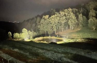 Naturalna Cisza - Foto 23