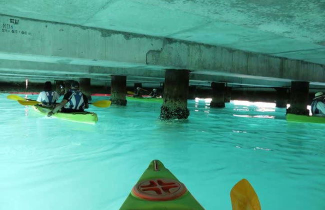 Tour en kayak por Ciudad del Cabo - Foto 5