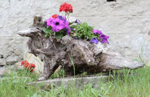 Ferienhof Giedensbach - Foto 19