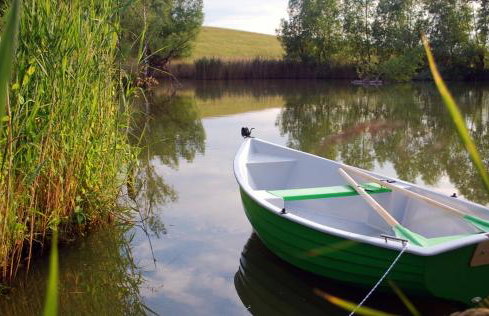 Domek nad Rozlewiskiem - Foto 6
