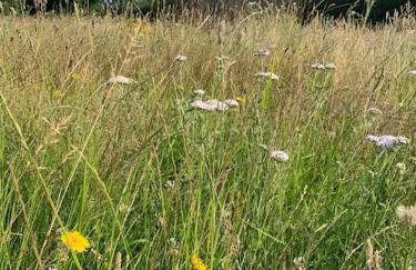 Modern, Stylish lodge with Paddock Views - Foto 14