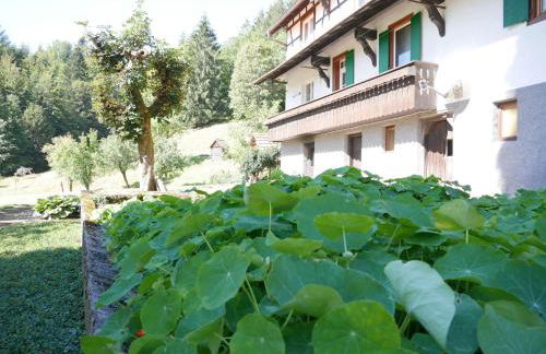 Börsighof, 54qm - Foto 13