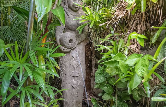 Sanctuary in The Pocket - Photo 76