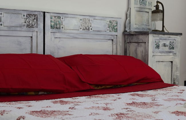 Oliva Azzurra - Foto 7