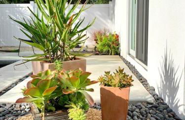 HiddenGem in Charming Sarasota, Florida - Foto 28