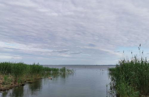 Spacious Appartment in Wilhelmshof Near Lake - Foto 27