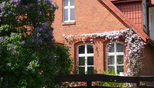 Jeleńczówka Alte Dorfschule - Foto 3