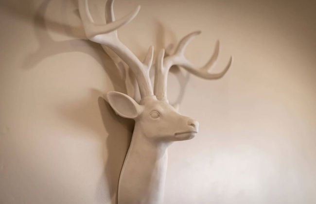 Tahoe Woods Villa - Walk to Beach and Gondola/ Heavenly Ski - Foto 43