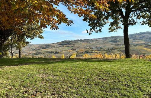 Agriturismo Poggiacolle - Photo 15