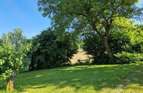 Ferienhaus Berghausen am Hennesee - Foto 7