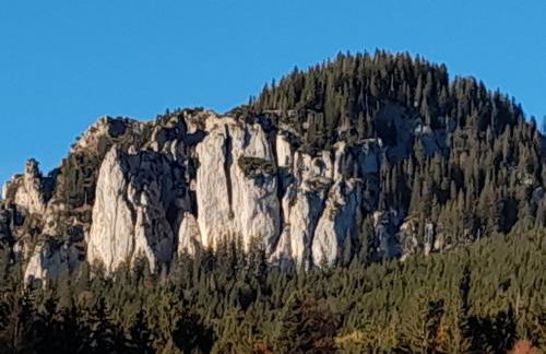 Zur alten Schmiede - Foto 20