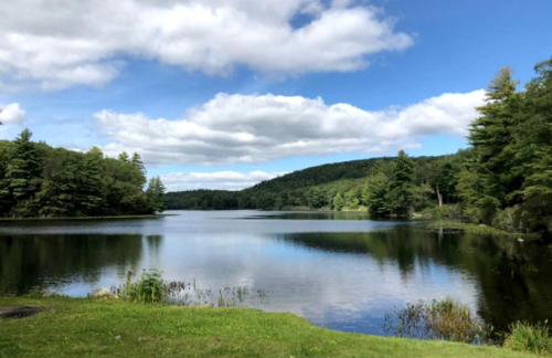 Imaginative Octogonal Glass Treehouse on Seven Private Acres near Great Barrington, MA - Foto 5