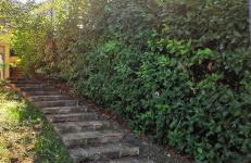 Country House Trevi Umbria Borghetto Vetuliae - Photo 31