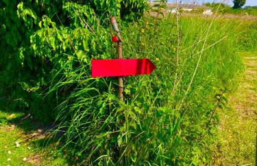 La petite maison rouge - Foto 9