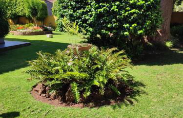 Finca El Trazo - Foto 41