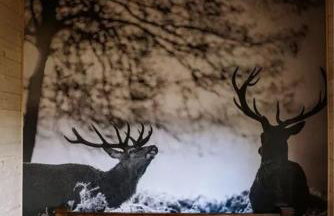 Jodełkowa Stodoła - Photo 9