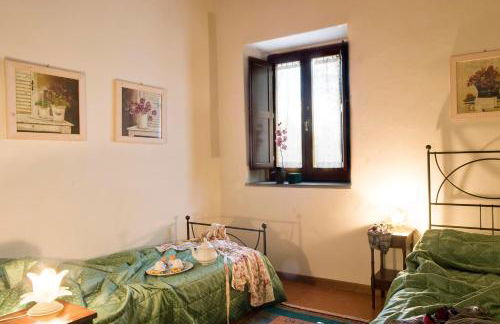 Agriturismo Petrognano - Foto 12