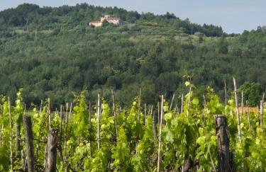 Apartment Bellavista - Foto 3