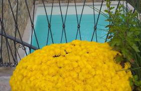 La Vigna Del Parroco - Foto 22