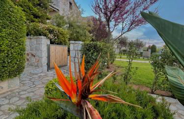 Achelatis Traditional Guest Houses - Foto 6