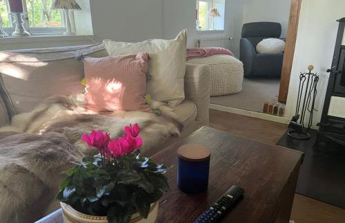 Kruemelkate - Foto 11