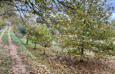 Il Trullo E Il Fortino - Foto 52