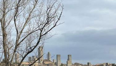 La Casina di Cinzia - Foto 3