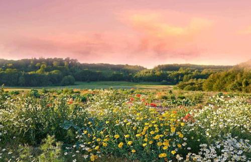 Lakeside holiday home with private garden - Foto 29