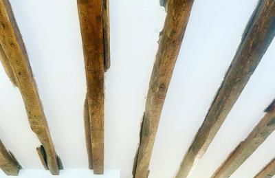 Electra mini-studio - Foto 6