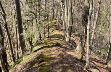 Idyllisches Ferienapartment Allgäu (Ehwiesmühle) - Foto 6