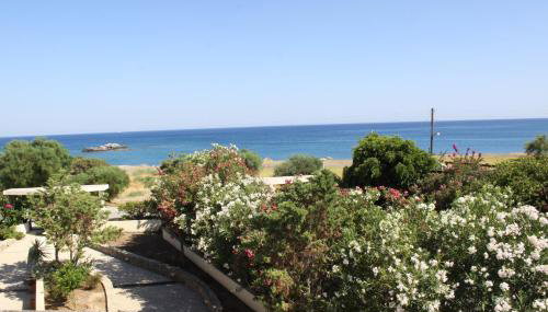 Athina - Foto 4, Garden