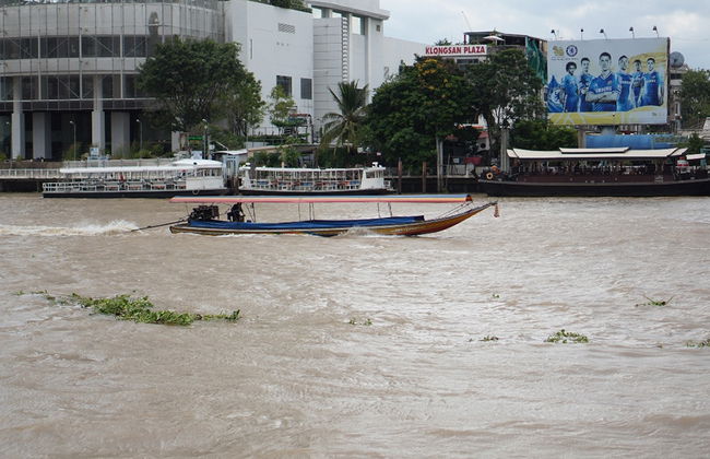 Halbtägiger Ausflug zu den Kanälen von Bangkok und zum Großen Palast mit transport - Foto 5
