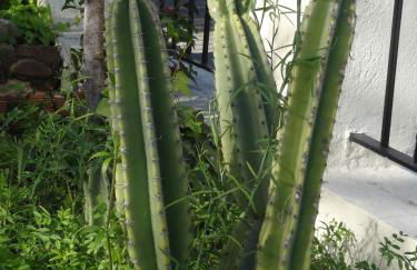 Vakantieverblijf Villa Kluever - Photo 39