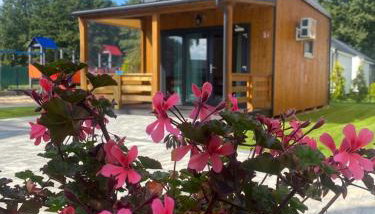 Zielonka Relaks - Foto 4