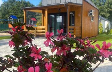 Zielonka Relaks - Foto 4