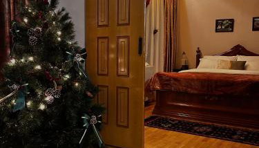 MetsoVillas στο κέντρο του Μετσόβου - Foto 4